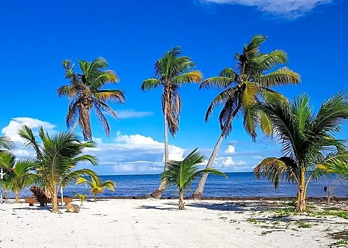 Royal Hotel San Pedro (Ambergris Caye)